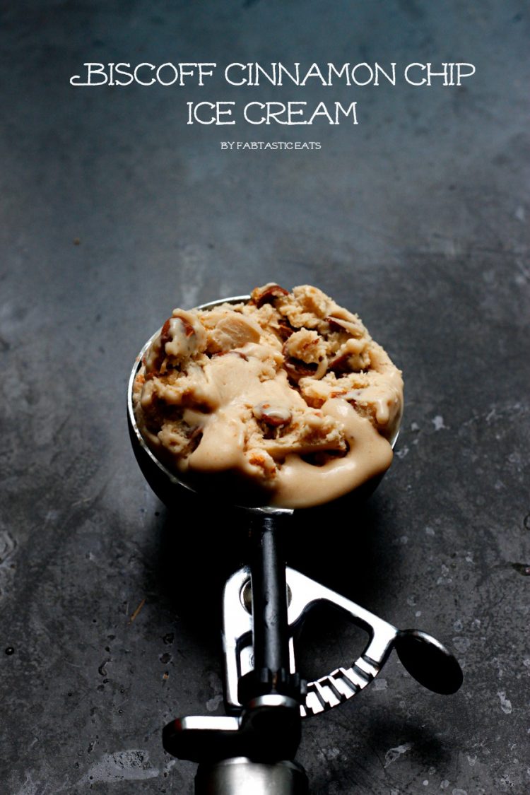 Biscoff Cinnamon Chip Ice Cream