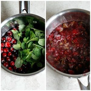 Pomegranate Cranberry Mint Julep | Fabtastic Eats