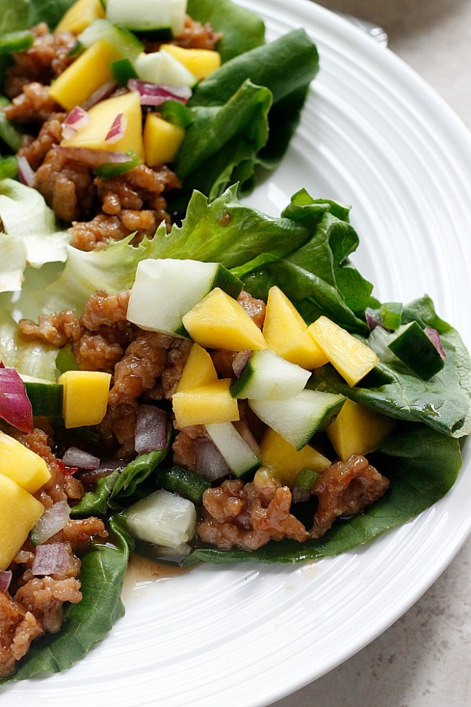 Hoisin Lime Pork Lettuce Wraps with a Cucumber Mango Salsa | Fabtastic Eats