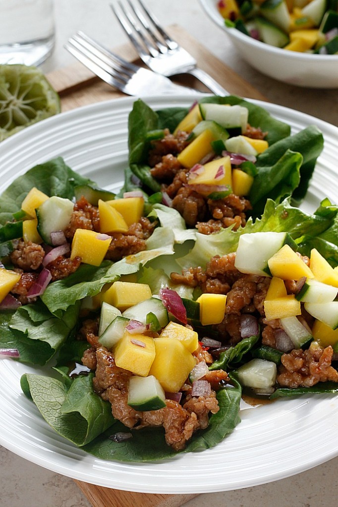 Hoisin Lime Pork Lettuce Wraps with a Cucumber Mango Salsa | Fabtastic Eats