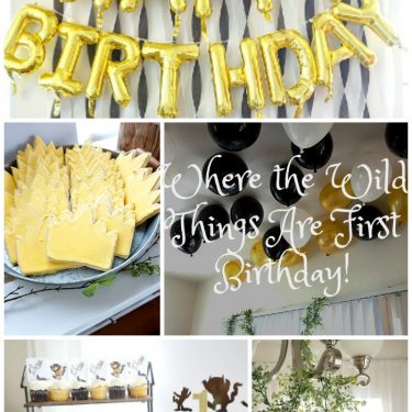 Where the Wild Things Are First Birthday!!